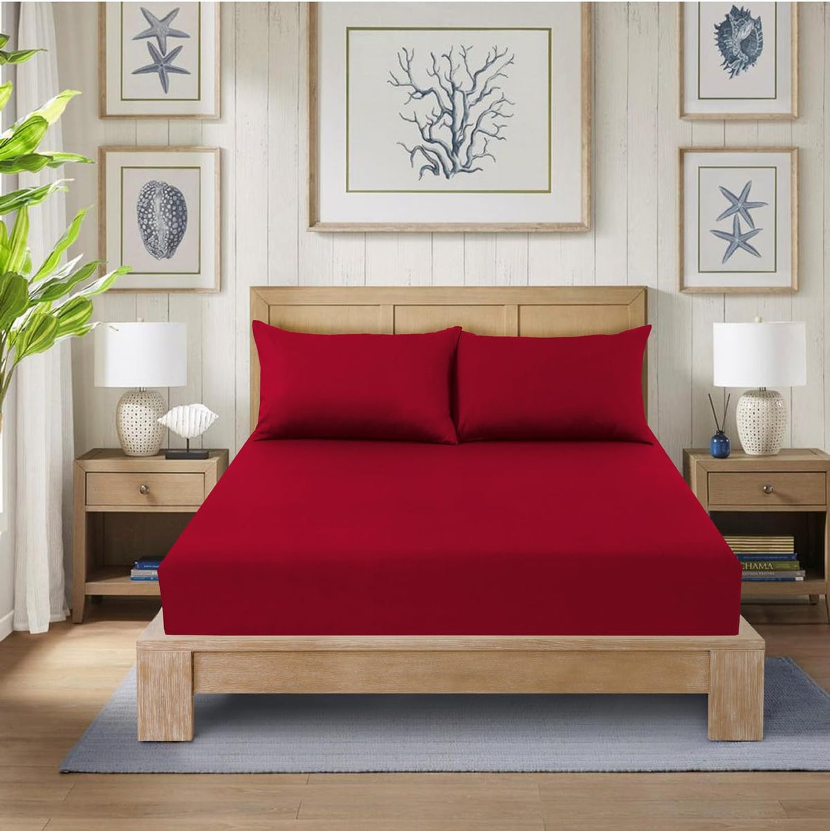 Fitted Bed Sheet Poly Cotton Percale Easy Care Plain Dyed Bed Sheet