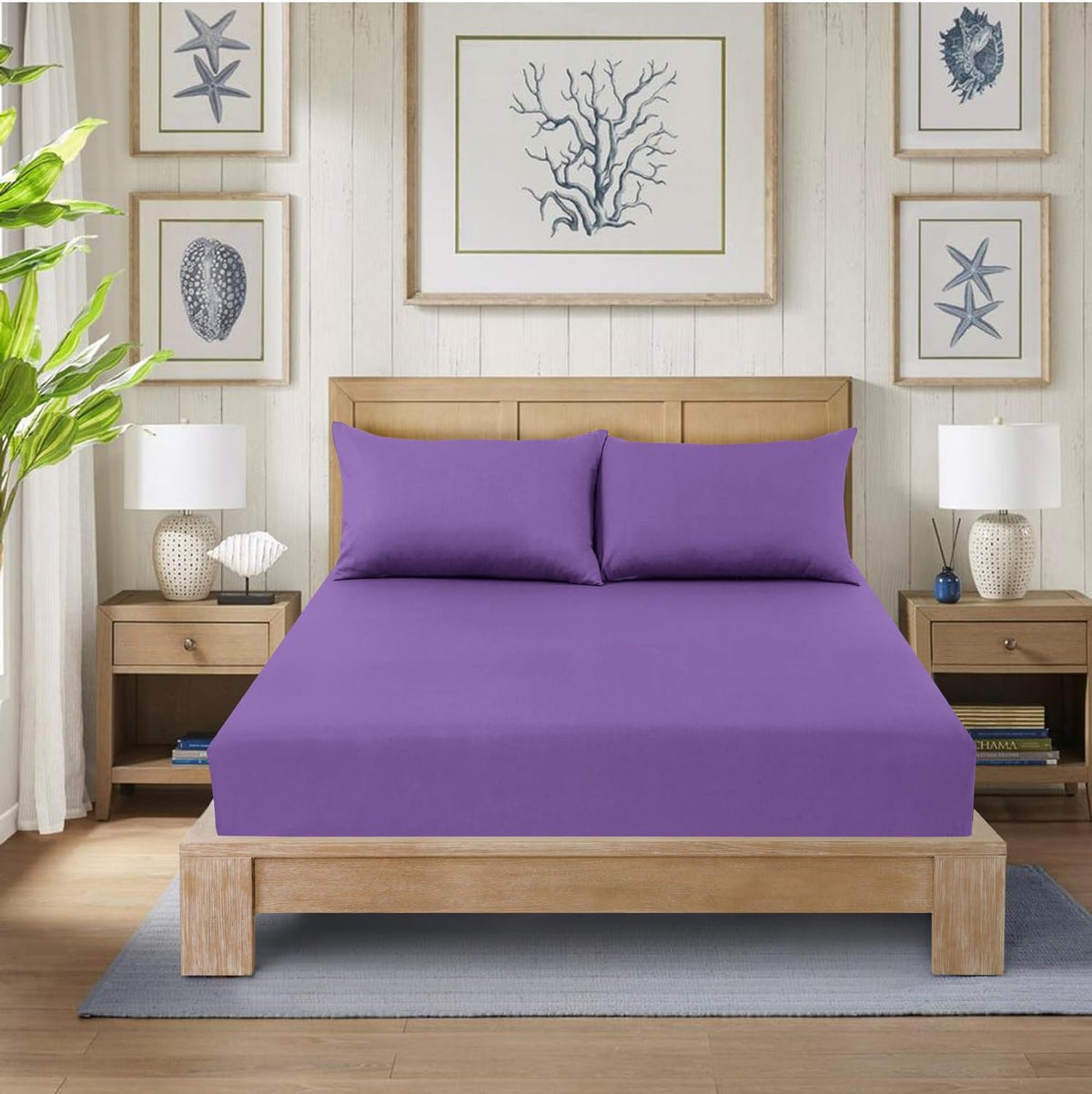 Fitted Bed Sheet Poly Cotton Percale Easy Care Plain Dyed Bed Sheet