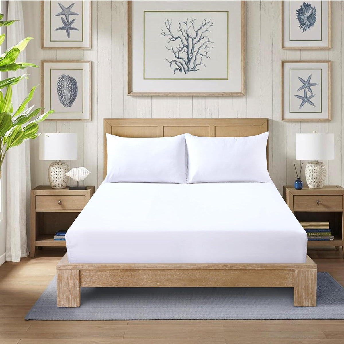 Fitted Bed Sheet Poly Cotton Percale Easy Care Plain Dyed Bed Sheet
